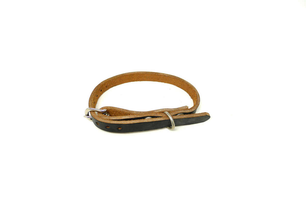 DaLuca Straps Dog Collar