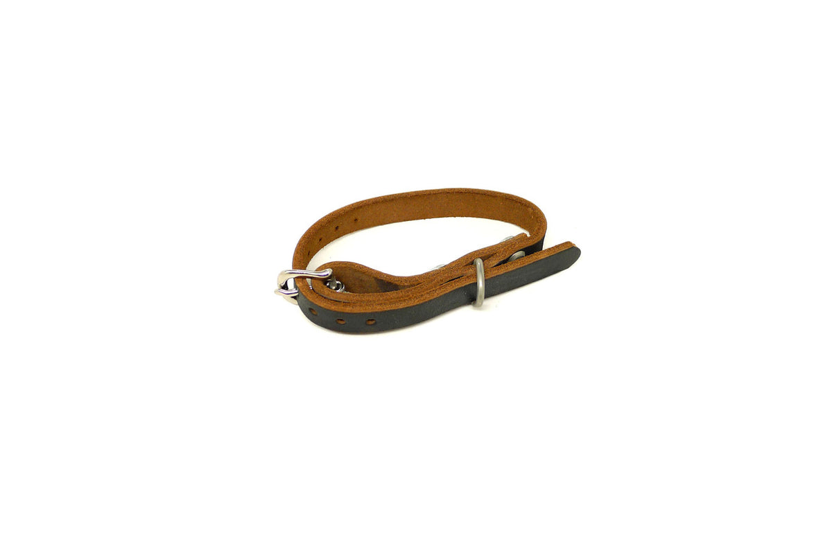 DaLuca Straps Dog Collar