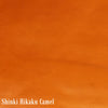 Shinki Hikaku Camel TC