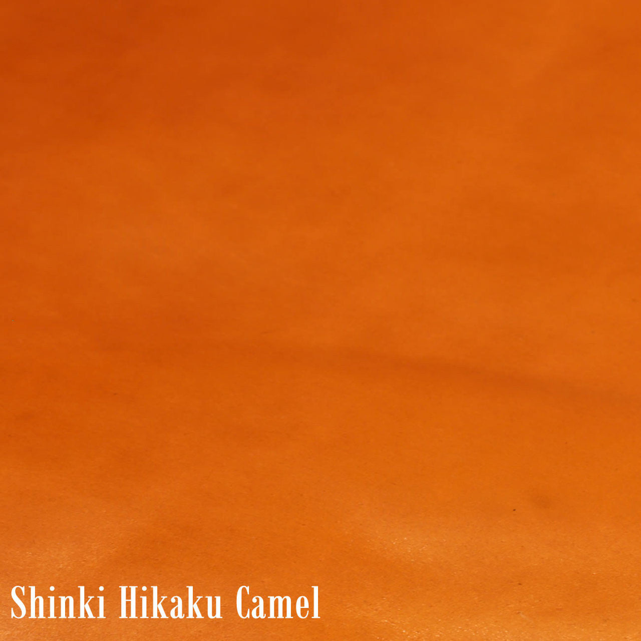 Shinki Hikaku Camel TC