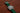 Braided Nylon Perlon Watch Strap Green Polished Buckle Main By DaLuca Straps.
