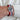 Red White And Blue Ballistic Nylon Military Watch Strap With A Matte Silver Buckle By DaLuca Straps.