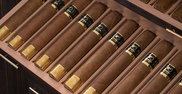cohiba cuban cigars
