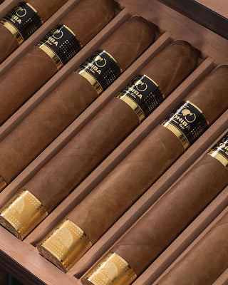 cohiba cuban cigars