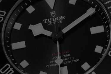 Tudor Pelagos Watch Dial
