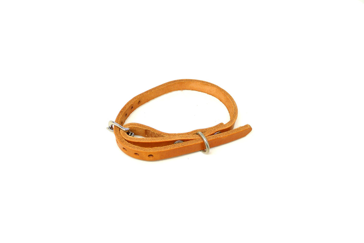DaLuca Straps Dog Collar