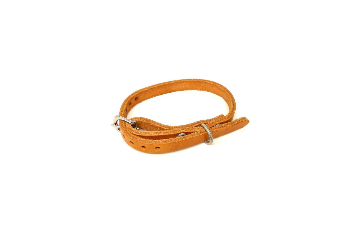 DaLuca Straps Dog Collar