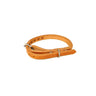 DaLuca Straps Dog Collar