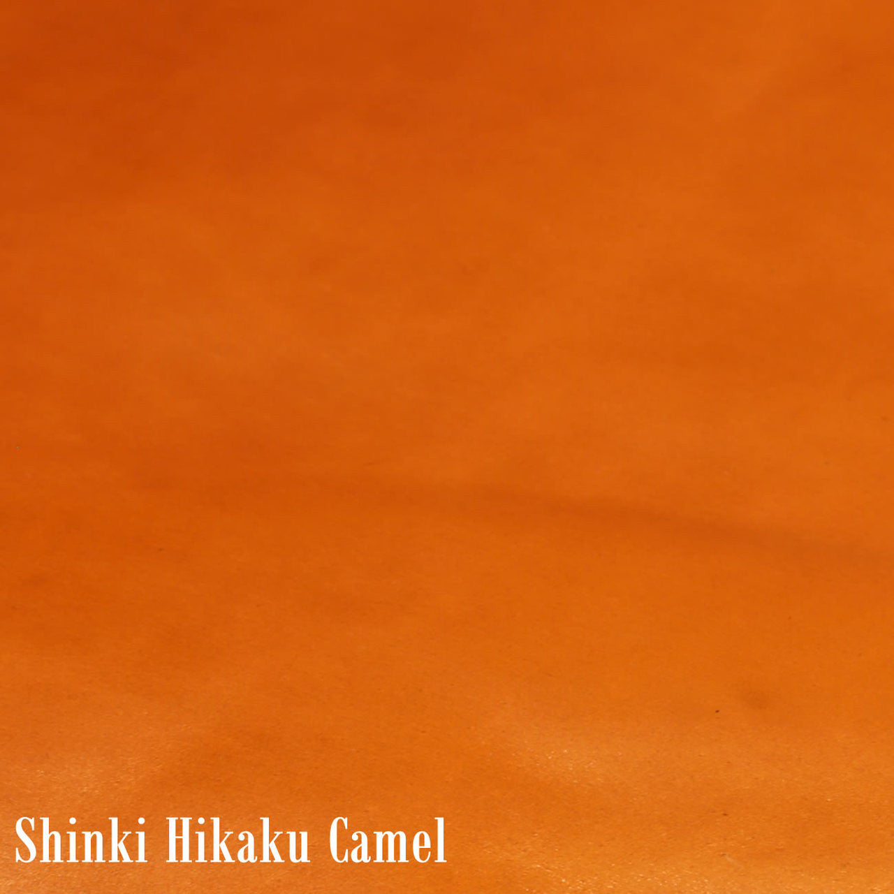 Shinki Hikaku Camel