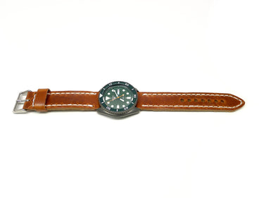 Full view of Zieghlen Watch Strap 22mm by Da Luca Straps
