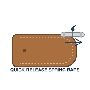 Quick-release spring bars