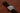 GorgeousBraided Nylon Perlon Watch Strap Black PVD Buckle By DaLuca Straps.