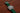 Braided Nylon Perlon Watch Strap Green Polished Buckle Main By DaLuca Straps.